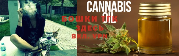 бошки Ельня