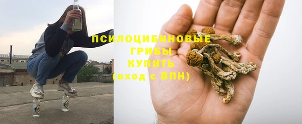бошки Ельня