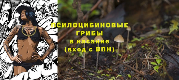 мяу мяу кристалл Елабуга
