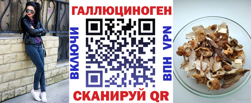 Купить где Кондопога Галлюциногенные грибы MAGIC MUSHROOMS